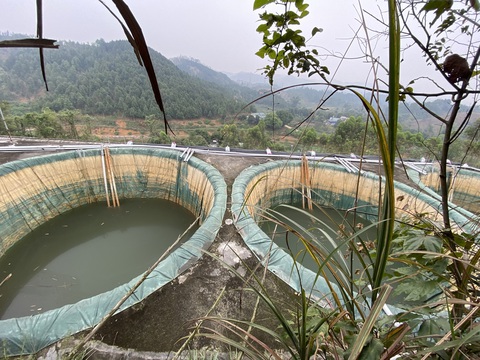 Tăng cường kiểm tra, bảo vệ mỏ đất hiếm chưa khai thác - Ảnh 1. Một mỏ đất hiếm trên địa bàn huyện Bảo Thắng (Lào Cai) sau khi kết thúc quá trình thăm dò trong tình trạng hoang vắng (thời điểm tháng 4-2023) - Ảnh: H.B.