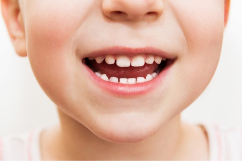 Phát triển loại thuốc giúp răng mọc lại nhiều lần - Ảnh 1. Phát triển loại thuốc giúp răng mọc lại nhiều lần - Ảnh 1.