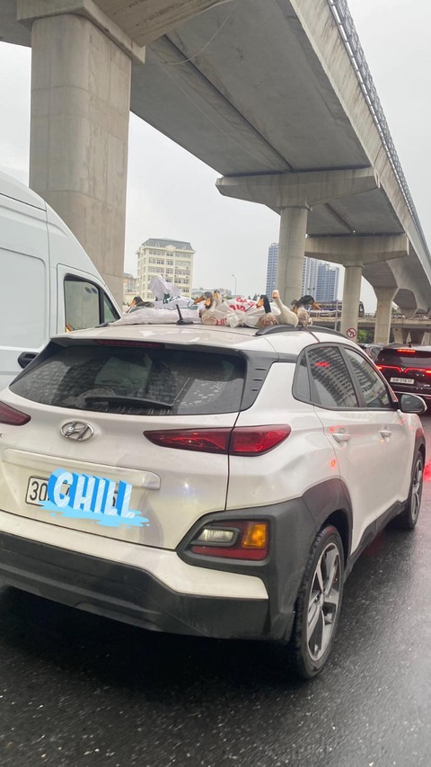 Ảnh vui 21-7: Em bị con rắn nó cắn, chẳng biết có sao không? - Ảnh 2. Đi chơi phải đông mới vui.