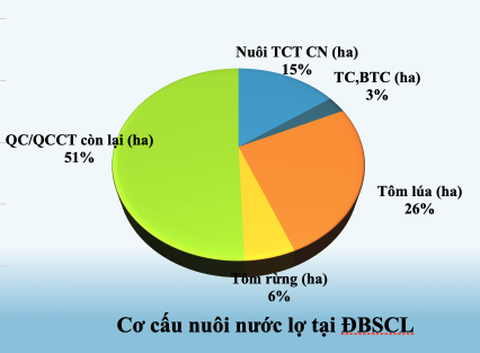 Lấy nước vùng sông Hậu để rửa mặn, tăng diện tích nuôi tôm - Ảnh 5. Lấy nước vùng sông Hậu để rửa mặn, tăng diện tích nuôi tôm - Ảnh 5.