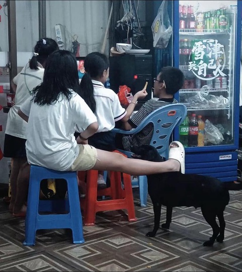 Ảnh vui 23-7: Chia đôi 'gánh nặng' - Ảnh 4. "Chân vịn".