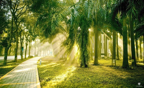 Sự ‘đắt giá’ của đô thị 6 sao Ecovillage SaiGon River - Ảnh 1. Thiên nhiên ngập tràn ở Khu đô thị Ecopark