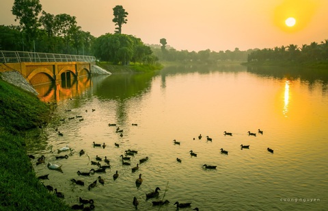 Sự ‘đắt giá’ của đô thị 6 sao Ecovillage SaiGon River - Ảnh 3. Ecopark- khu đô thị đầu tiên có vịt trời, le le, ngỗng sinh sản, làm tổ