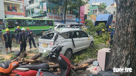 Ngọn cây dầu gãy đè ôtô, xe máy trên đường ở quận 10 - Ảnh 1. Hiện trường sự cố - Ảnh: NGỌC KHẢI