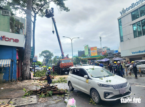 Thời tiết hôm nay 26-7: Bão Doksuri ở xa nhưng khiến Nam Bộ mưa to, gió mạnh - Ảnh 1. Khu vực Nam Bộ cần chú ý dông lốc xảy ra trong thời tiết mưa gây nguy hiểm. Ảnh chụp cây xanh bị gió quật gãy ngọn tại TP.HCM ngày 24-7 - Ảnh: NGỌC KHẢI