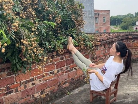 Ảnh vui 27-7: Lễ trả độ 'không đẻ được con gái' - Ảnh 3. Sơ hở là mọc qua nhà tôi chứ ai ngờ...