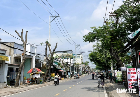 Cắt tỉa cây xanh cho an toàn sao trụi lũi trơ thân trụi lá? - Ảnh 6. Hàng cây trên đường Nguyễn Bình, huyện Nhà Bè bị cắt tỉa trơ trọi - Ảnh: LÊ PHAN