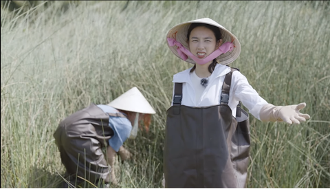 Hoa hậu Thùy Tiên trải nghiệm công việc của nông dân cắt cỏ bàng Hoa hậu Thùy Tiên trải nghiệm công việc của nông dân cắt cỏ bàng