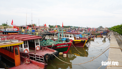 Tin tức sáng 30-7: - Ảnh 1. Tàu thuyền neo đậu trong âu tàu để tránh bão số 1 (ảnh chụp ngày 17-7-2023) - Ảnh: TIẾN THẮNG