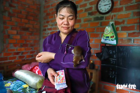 Chị Ngân và Lắc trở thành "nhân vật" vui ngộ ở huyện Mỏ Cày Nam - Ảnh: A.VI Chị Ngân và Lắc trở thành "nhân vật" vui ngộ ở huyện Mỏ Cày Nam - Ảnh: A.VI