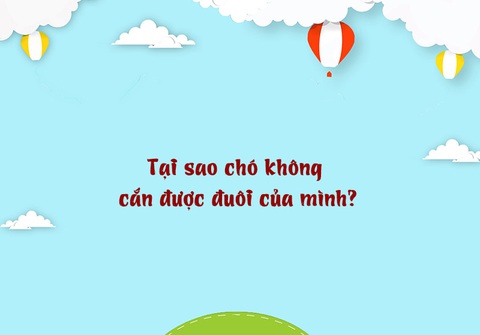 Câu đố hack não: Cái gì con gái có nhiều hơn phụ nữ? - Ảnh 7. Câu đố hack não: Cái gì con gái có nhiều hơn phụ nữ? - Ảnh 7.