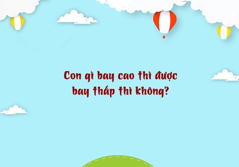 Câu đố hack não: Thứ gì rõ khôn nhưng ai cũng ghét? - Ảnh 10. Câu đố hack não: Thứ gì rõ khôn nhưng ai cũng ghét? - Ảnh 10.