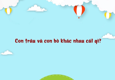 Câu đố hack não: Con trâu và con bò khác nhau cái gì? - Ảnh 1. Câu đố hack não: Con trâu và con bò khác nhau cái gì? - Ảnh 1.