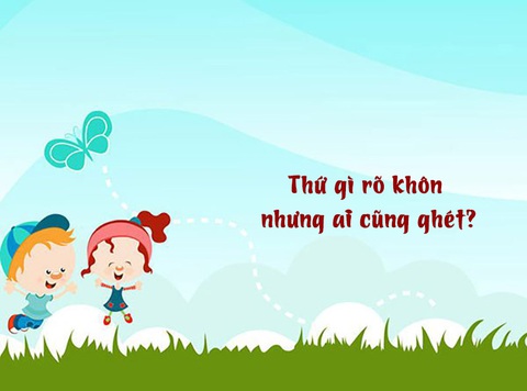 Câu đố hack não: Thứ gì rõ khôn nhưng ai cũng ghét? - Ảnh 1. Câu đố hack não: Thứ gì rõ khôn nhưng ai cũng ghét? - Ảnh 1.