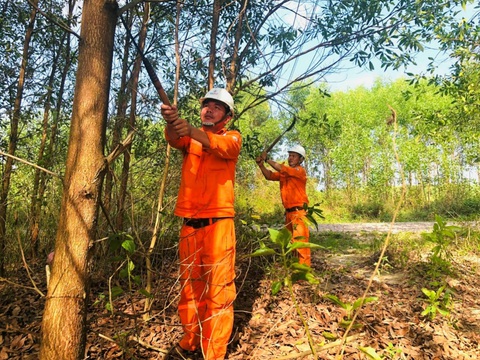 Tăng cường đảm bảo an toàn cho tuyến đường dây tự dùng 22kV - Ảnh 2. Tăng cường đảm bảo an toàn cho tuyến đường dây tự dùng 22kV - Ảnh 2.