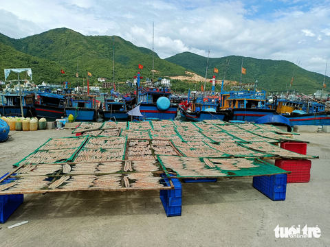 Cano và tàu cá tranh nhau neo đậu tại bến tàu Du lịch Nha Trang - Ảnh 2. Khu nơi neo đậu tàu thuyền ngư dân phơi các loại cá bốc mùi khiến nhiều du khách than vãn - Ảnh: MINH CHIẾN