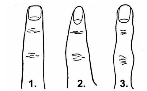 Hình dạng ngón tay nói gì về tính cách của bạn - Ảnh 1.