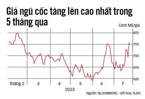 Những hạt giống chống đói - Ảnh 2.