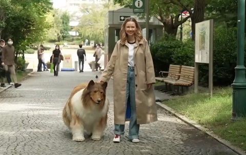 Anh Toco trong trang phục chó collie - Ảnh chụp màn hình Anh Toco trong trang phục chó collie - Ảnh chụp màn hình