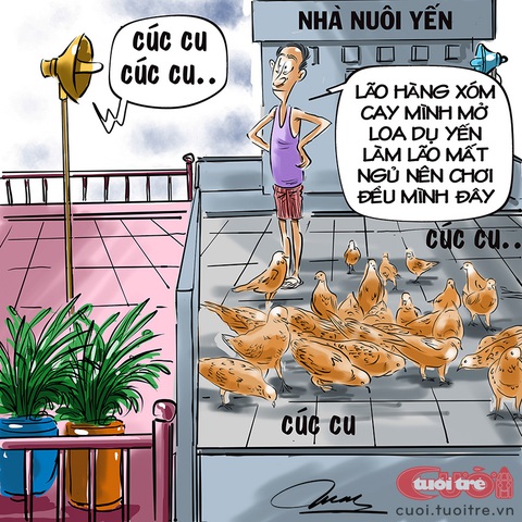 'Táo bạo' khắc chế nhà nuôi chim yến trong đô thị - Ảnh 1. Từ nhà nuôi yến biến thành nhà nuôi cu - Tranh: Đỗ Minh Tuấn