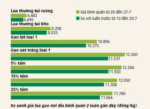 Nguồn: Hiệp hội lương thực VN - Dữ liệu: Chí Tuệ - Đồ họa: N.KH. Nguồn: Hiệp hội lương thực VN - Dữ liệu: Chí Tuệ - Đồ họa: N.KH.