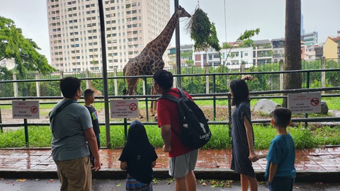 Thảo cầm viên Sài Gòn là nơi đến ưa thích của trẻ em không chỉ mùa hè - Ảnh: C.K. Thảo cầm viên Sài Gòn là nơi đến ưa thích của trẻ em không chỉ mùa hè - Ảnh: C.K.