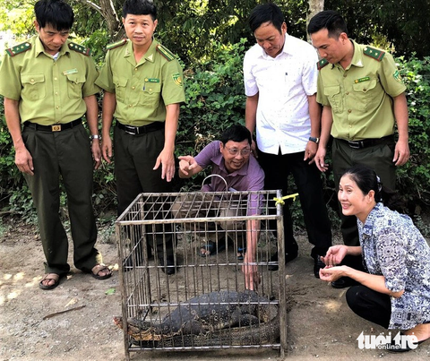 Phát hiện con kỳ đà dài 2m bò vào sân nhà dân - Ảnh 2. Lực lượng kiểm lâm bàn giao con kỳ đà cho Vườn quốc gia Vũ Quang - Ảnh: LÊ MINH