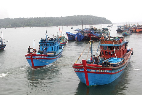 Những ngư dân Bình Châu vẫn can trường đi biển Hoàng Sa, Trường Sa - Ảnh: TRẦN MAI Những ngư dân Bình Châu vẫn can trường đi biển Hoàng Sa, Trường Sa - Ảnh: TRẦN MAI