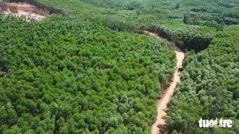 Xe ben đi vào khu vực khai thác đất trái phép để lấy đất - Ảnh: LÂM THIÊN Xe ben đi vào khu vực khai thác đất trái phép để lấy đất - Ảnh: LÂM THIÊN