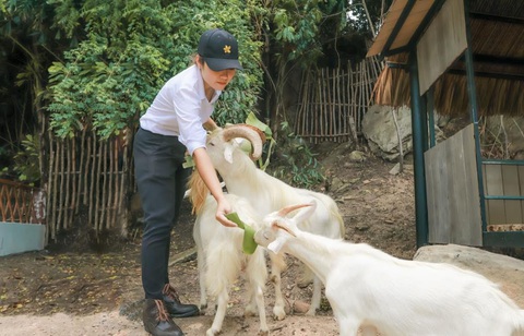 Premier Village Phú Quốc - Kỳ nghỉ gia đình trọn vẹn - Ảnh 4. Premier Village Phú Quốc - Kỳ nghỉ gia đình trọn vẹn - Ảnh 4.