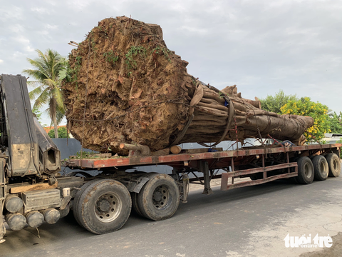 Cận cảnh khu tập Gym, xông hơi của đại gia xây dựng trái phép - Ảnh 3. Trước đó, cuối tháng 6, người dân khu dân cư Lê Chân đã chặn xe tải chở "cây khủng" vào đường cấm lúc giữa đêm - Ảnh: bạn đọc cung cấp
