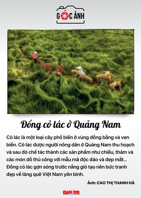 Tin tức sáng 7-7: Đề xuất lập Trường đại học Thống kê; Xem xét kéo dài niên hạn sử dụng xe lửa - Ảnh 5. Tin tức sáng 7-7: Đề xuất lập Trường đại học Thống kê; Xem xét kéo dài niên hạn sử dụng xe lửa - Ảnh 5.