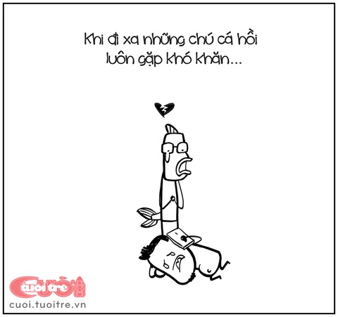 Chuyện về chú cá hồi... hương - Ảnh 10. Chuyện về chú cá hồi... hương - Ảnh 10.