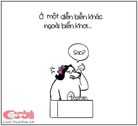 Chuyện về chú cá hồi... hương - Ảnh 6. Và câu chuyện lặp lại với những chú "cá hồi" khác...