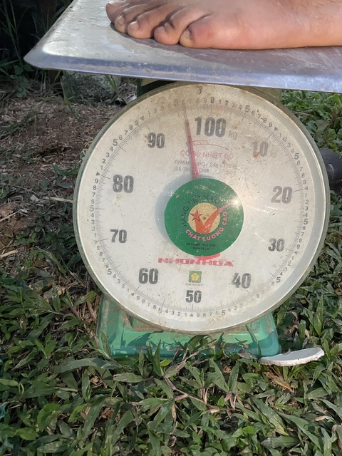 Ảnh vui 8-7: Biết là 'muốn làm quen phải chủ động' nhưng... - Ảnh 6. Tao nói tao giảm cân rồi không ai tin.