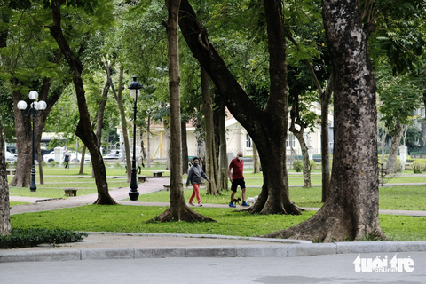 Biến trung tâm Hà Nội thành 'thành phố có rừng', được không? - Ảnh 2. Những hàng cây xanh tại công viên Thống Nhất - Ảnh: NAM TRẦN