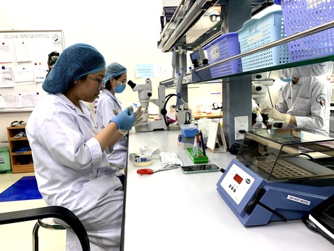 Phát triển các đại học quốc gia cạnh tranh được với các đại học quốc tế - Ảnh 1. Nghiên cứu viên, sinh viên Trường đại học Quốc tế (Đại học Quốc gia TP.HCM) làm việc trong phòng thí nghiệm - Ảnh: TRẦN HUỲNH