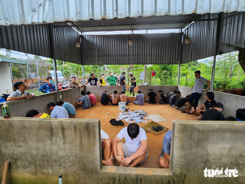 Trường đá gà tại TP Tân Uyên hàng chục con bạc bị bắt quả tang - Ảnh: T.D. Trường đá gà tại TP Tân Uyên có hàng chục con bạc bị bắt quả tang - Ảnh: T.D.