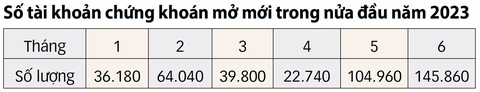 Người dân lại ồ ạt mở tài khoản chứng khoán - Ảnh 2. Nguồn: VSD