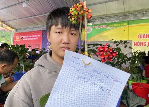 Những cây sâm Ngọc Linh đẹp nhất núi Ngọc Linh cùng đọ sắc tại hội thi sâm - Ảnh 6. Mỗi nhóm hộ chọn những cây sâm đẹp đi thi - Ảnh: LÊ TRUNG