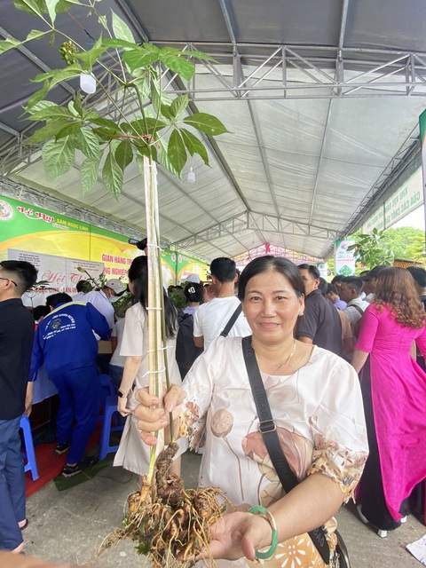 Những cây sâm Ngọc Linh đẹp nhất núi Ngọc Linh cùng đọ sắc tại hội thi sâm - Ảnh 5. Bà Lan với cây sâm 45 năm tuổi, được rao bán với giá 75 triệu đồng - Ảnh: LÊ TRUNG