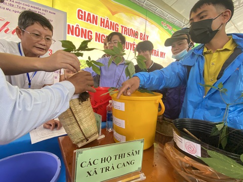 Những cây sâm Ngọc Linh đẹp nhất núi Ngọc Linh cùng đọ sắc tại hội thi sâm - Ảnh 8. Không khí rộn ràng, vui vẻ - Ảnh: LÊ TRUNG