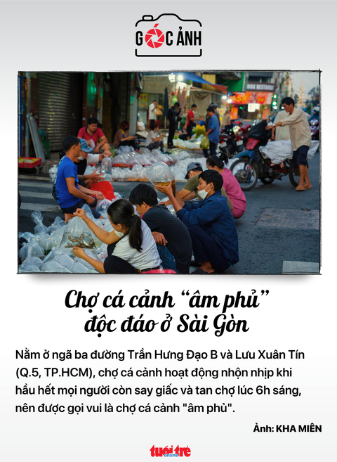 Tin tức sáng 2-8: - Ảnh 8. Chợ cá cảnh Sài Gòn - Ảnh: KHA MIÊN