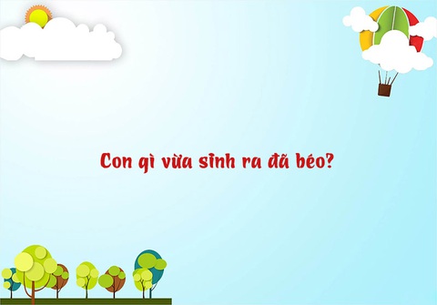 Câu đố hack não: Đi mà không đi là gì? - Ảnh 4. Câu đố hack não: Đi mà không đi là gì? - Ảnh 4.