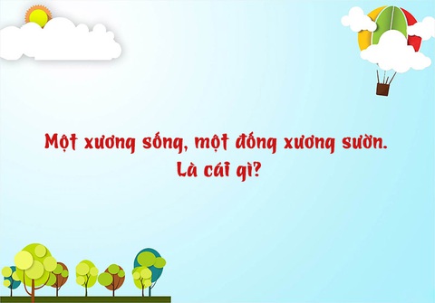 Câu đố hack não: Một xương sống, một đống xương sườn, là cái gì? - Ảnh 1. Câu đố hack não: Một xương sống, một đống xương sườn, là cái gì? - Ảnh 1.
