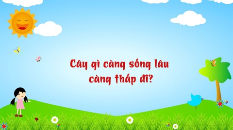 Câu đố hack não: Một xương sống, một đống xương sườn, là cái gì? - Ảnh 7. Câu đố hack não: Một xương sống, một đống xương sườn, là cái gì? - Ảnh 7.