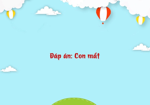 Câu đố hack não: Một xương sống, một đống xương sườn, là cái gì? - Ảnh 1.