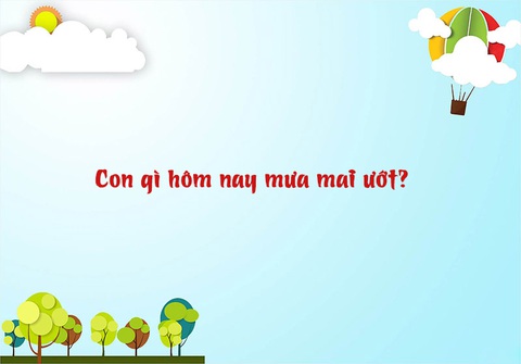 Câu đố hack não: Con gì hôm nay mưa mai ướt? - Ảnh 1. Câu đố hack não: Con gì hôm nay mưa mai ướt? - Ảnh 1.