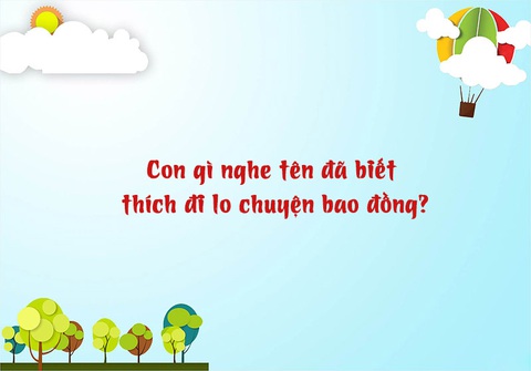 Câu đố hack não: Con gì nghe tên đã biết thích đi lo chuyện bao đồng? - Ảnh 1. Câu đố hack não: Con gì nghe tên đã biết thích đi lo chuyện bao đồng? - Ảnh 1.