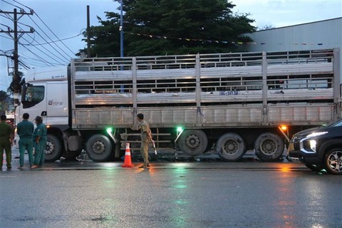 Hiện trường vụ tai nạn ngày 29/7, tại tỉnh Bình Dương giữa xe tải và và xe máy. Ảnh: TTXVN phát Hiện trường vụ tai nạn ngày 29-7 tại tỉnh Bình Dương giữa xe tải và và xe máy - Ảnh: TTXVN